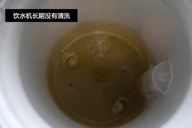 家中最“髒”的水竟然是它!發現後果斷不喝了