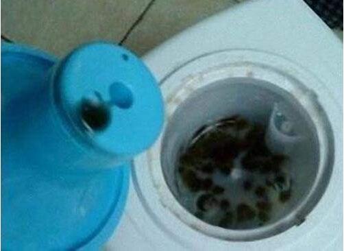 家中最“髒”的水竟然是它!發現後果斷不喝了