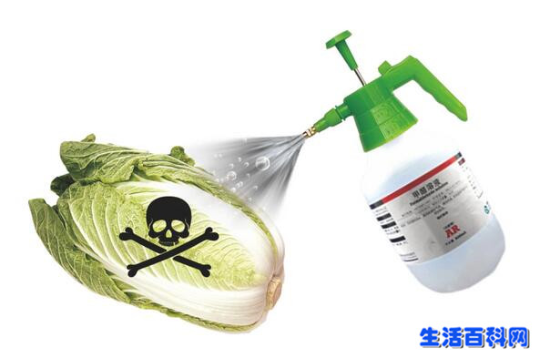 “甲醛”泡白菜是行業潛規則?冬季選白菜需警惕!
