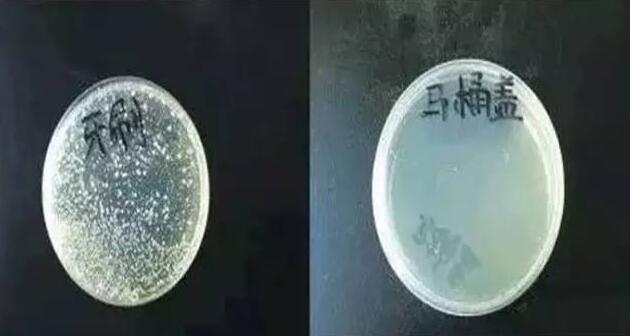 每天都刷牙的你,知道你用的牙刷有多髒嗎?
