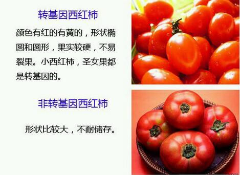 轉基因是什麼意思?轉基因食品的危害有哪些?