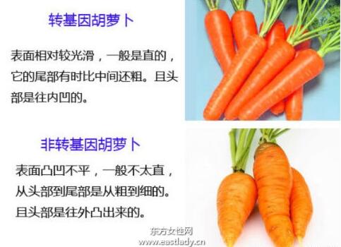 轉基因是什麼意思?轉基因食品的危害有哪些?