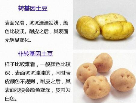 轉基因是什麼意思?轉基因食品的危害有哪些?