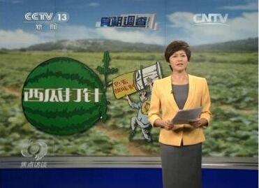 “西瓜又紅又甜 是被人打了針” 是真的嗎?