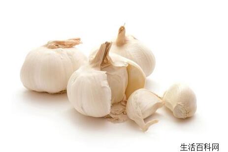 長芽的大蒜能吃嗎 大蒜發芽後還能吃嗎?