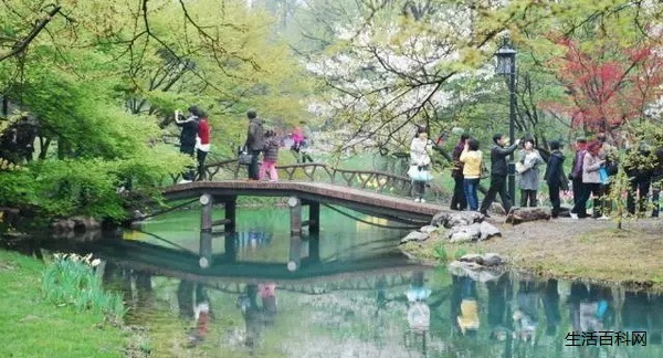 春節旅游的幾個注意事項 春節旅游的幾個注意事項