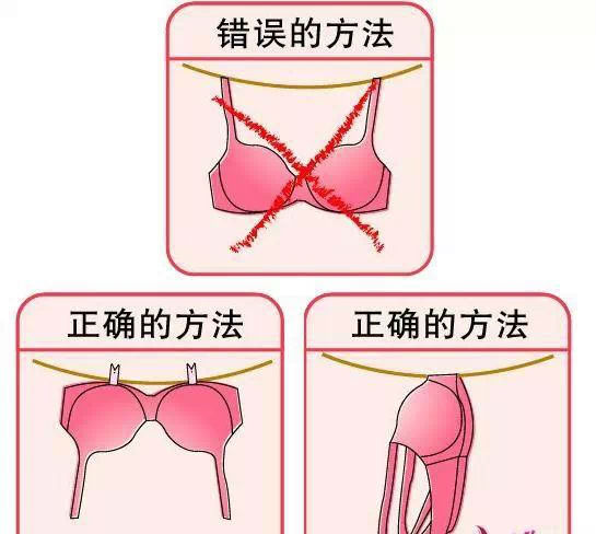 內衣的正確晾曬方法,你曬對了嗎? 內衣的正確晾曬方法,你曬對了嗎?