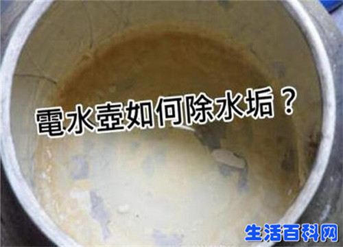熱水壺的水垢危害大,教你簡單一招,瞬間去除水垢煩惱!