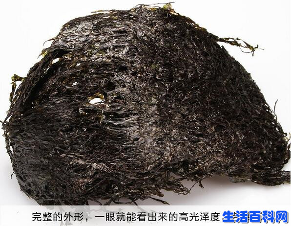 你吃的紫菜是塑料做的?教你如何辨別真假紫菜!