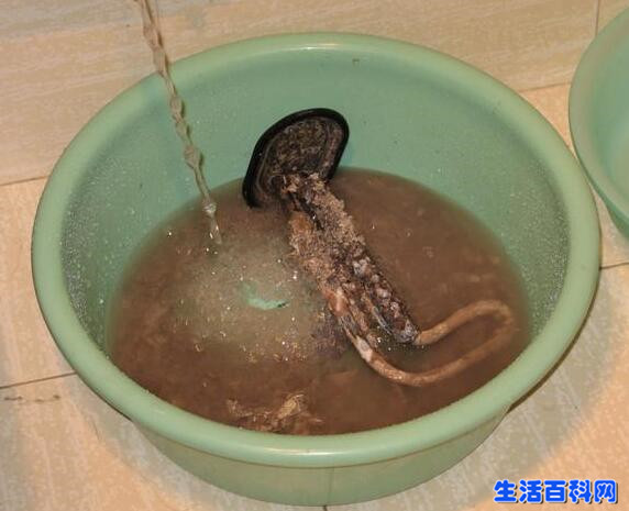 電熱水器除垢妙招:教你免費輕鬆去除水垢!