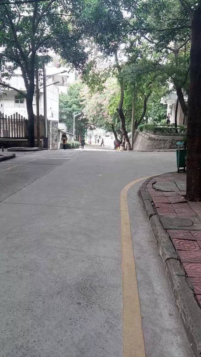 手机一键变《你的名字》动漫风，只需这一招