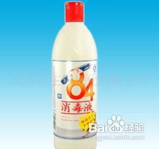 家有跳蚤怎么办?6招彻底消灭跳蚤