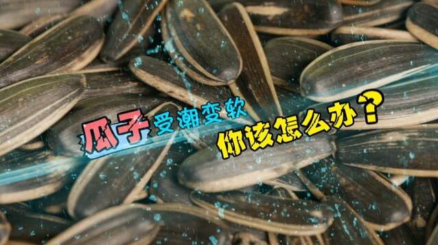 瓜子受潮怎麼辦?一招恢復酥脆不浪費