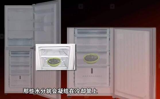瓜子受潮怎麼辦?一招恢復酥脆不浪費