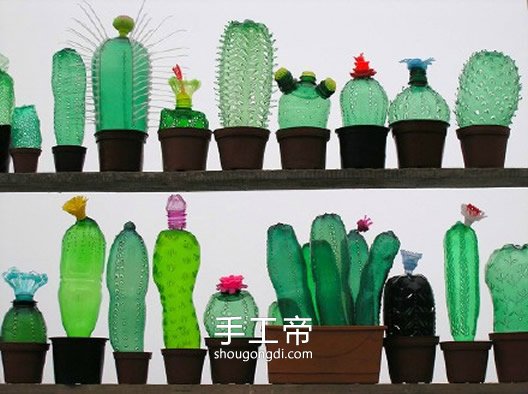 塑料瓶變廢為寶：創意手工DIY，仙人掌、蝴蝶與花卉全都有！