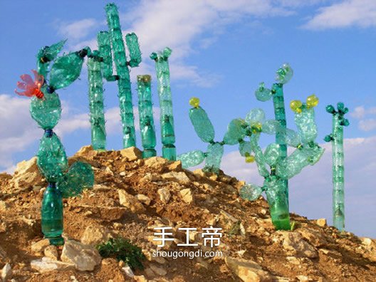 塑料瓶變廢為寶：創意手工DIY，仙人掌、蝴蝶與花卉全都有！
