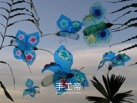 塑料瓶變廢為寶：創意手工DIY，仙人掌、蝴蝶與花卉全都有！
