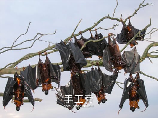 塑料瓶變廢為寶：創意手工DIY，仙人掌、蝴蝶與花卉全都有！