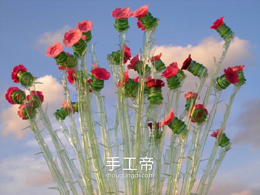 塑料瓶變廢為寶：創意手工DIY，仙人掌、蝴蝶與花卉全都有！