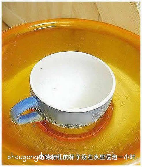 破損茶杯變美小花盆：廢物利用DIY實作教學