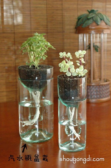 生活廢棄物變花盆：DIY改造創意集