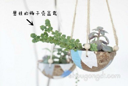 生活廢棄物變花盆：DIY改造創意集