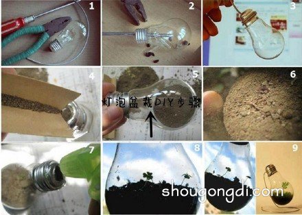 生活廢棄物變花盆：DIY改造創意集