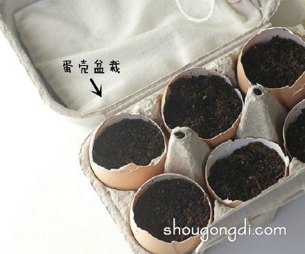 生活廢棄物變花盆：DIY改造創意集