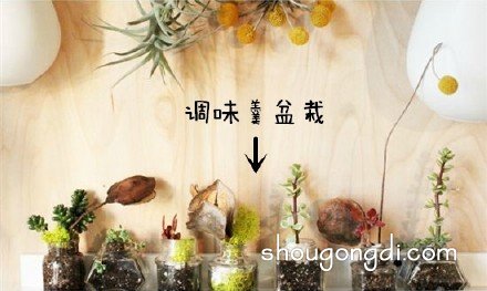 生活廢棄物變花盆：DIY改造創意集