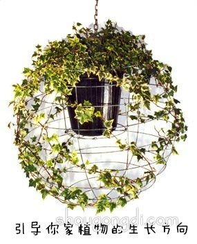 生活廢棄物變花盆：DIY改造創意集