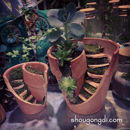 破損花盆變廢為寶DIY手工製作漂亮的盆景