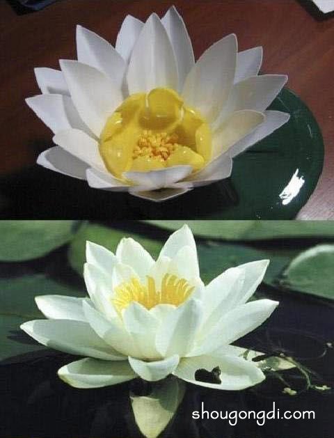 塑料瓶手工製作蓮花｜飲料瓶DIY蓮花教學