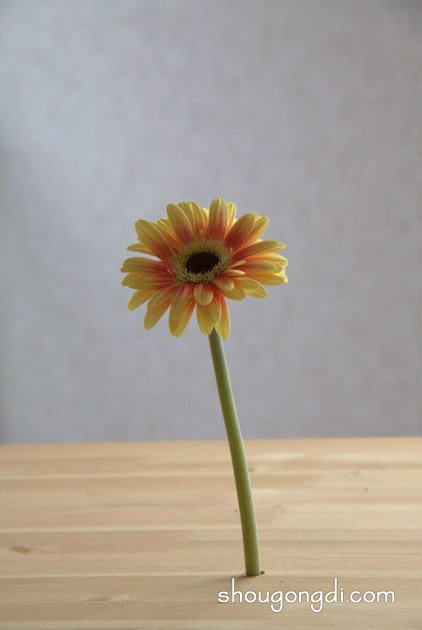 玻璃罐DIY花瓶：桌上一插花，趣味立现
