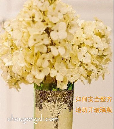 如何切割玻璃瓶：玻璃瓶的切割方法