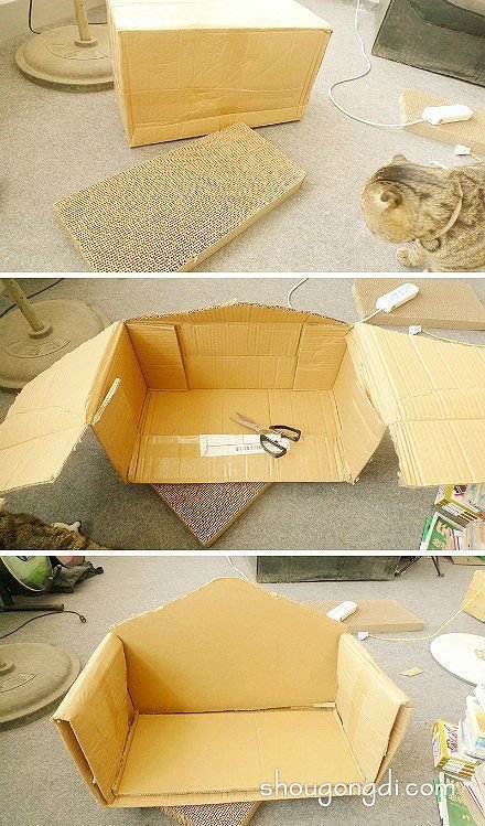 廢紙箱變貓窩：DIY製作舒適寵物居所