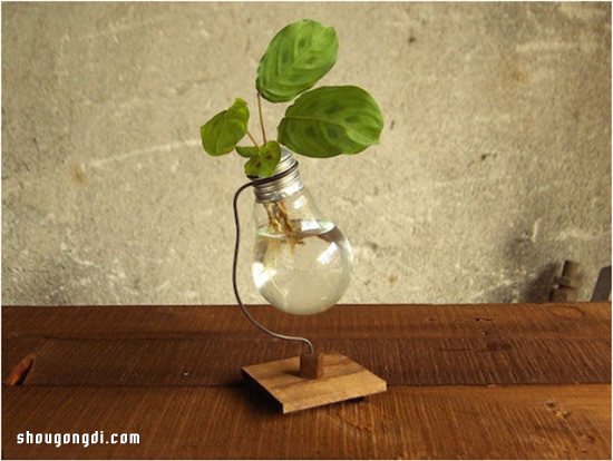 廢興燈泡變廢為寶！DIY 可愛小花盆與花瓶