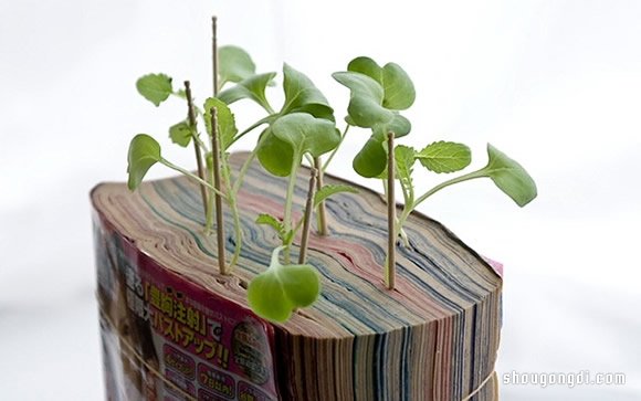 舊書變盆栽｜DIY環保小創意，簡單緊湊綠色植物