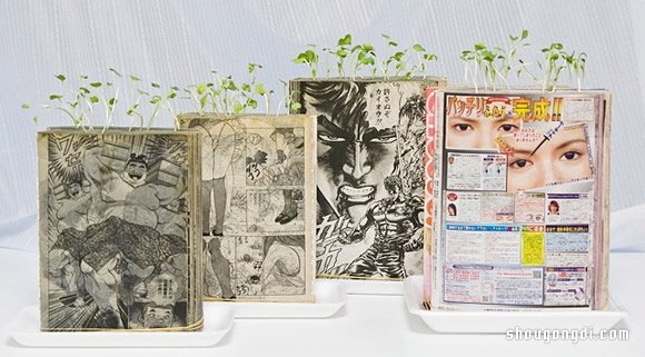 舊書變盆栽｜DIY環保小創意，簡單緊湊綠色植物