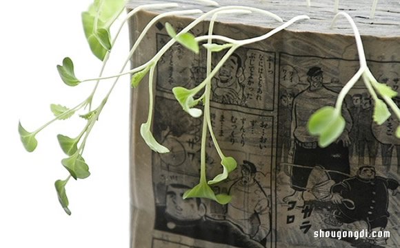 舊書變盆栽｜DIY環保小創意，簡單緊湊綠色植物