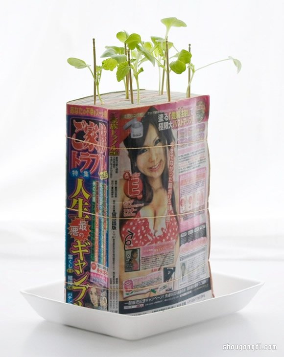 舊書變盆栽｜DIY環保小創意，簡單緊湊綠色植物
