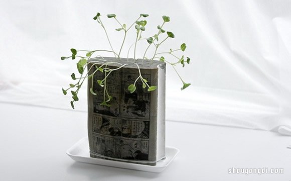 舊書變盆栽｜DIY環保小創意，簡單緊湊綠色植物