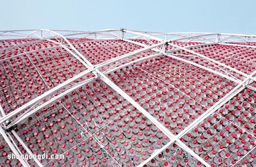 17000多個廢棄可口可樂瓶DIY藝術裝置Cola-bow呈現曲線LOGO