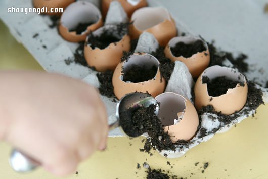 蛋殼變廢為寶：DIY 迷你盆栽綠意點綴