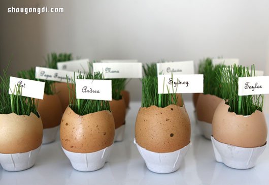 蛋殼變廢為寶：DIY 迷你盆栽綠意點綴