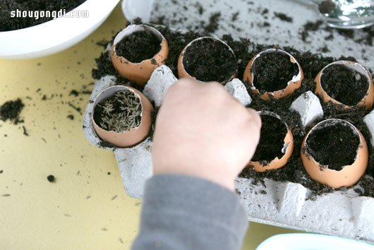 蛋殼變廢為寶：DIY 迷你盆栽綠意點綴