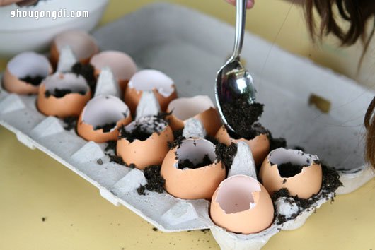 蛋殼變廢為寶：DIY 迷你盆栽綠意點綴