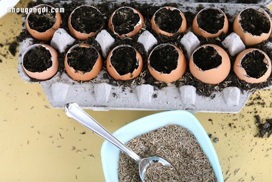 蛋殼變廢為寶：DIY 迷你盆栽綠意點綴