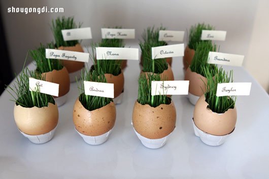 蛋殼變廢為寶：DIY 迷你盆栽綠意點綴