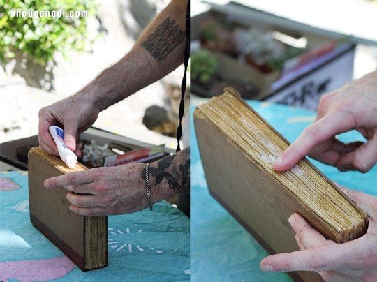 舊書變廢為寶：手工DIY多肉植物盆栽創意