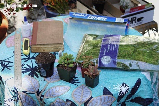 舊書變廢為寶：手工DIY多肉植物盆栽創意